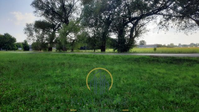 Działka rolna Rudno. Zdjęcie 2