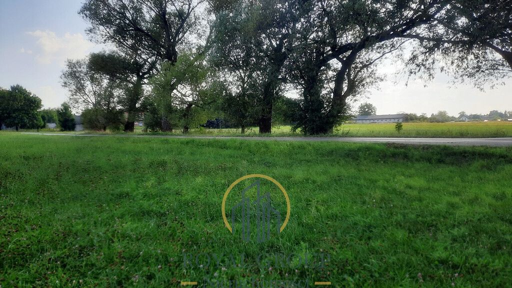 Działka rolna Rudno. Zdjęcie 2