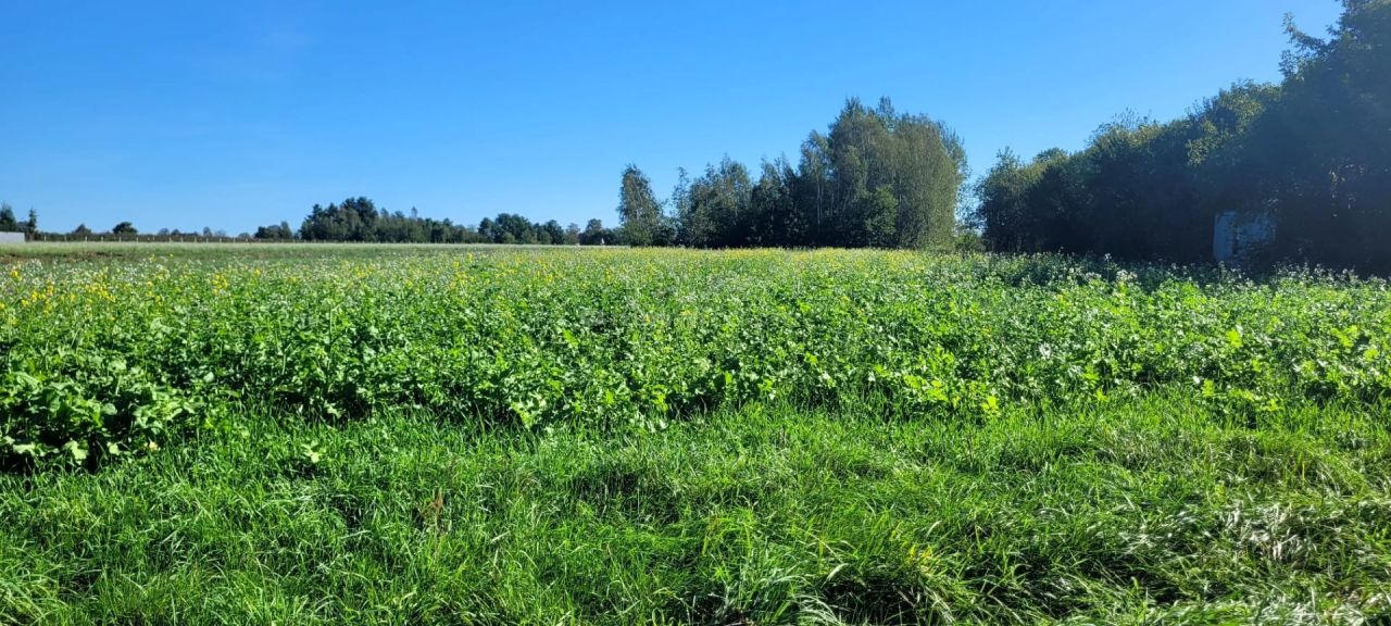 gospodarstwo Głowaczów, ul. Stromiecka. Zdjęcie 14