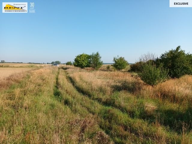 Działka budowlana Chabowo. Zdjęcie 5