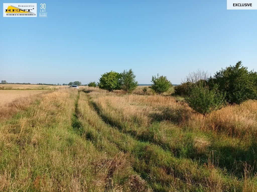 Działka budowlana Chabowo. Zdjęcie 5