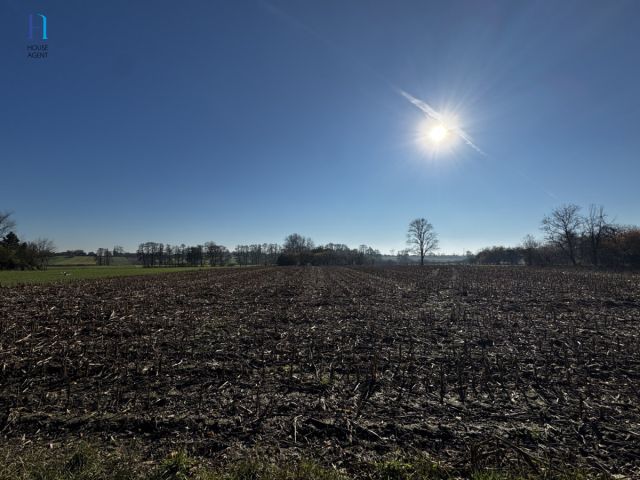 Działka siedliskowa Kolonia Łaznów. Zdjęcie 6