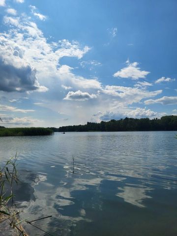 Działka rolna Kierzliny. Zdjęcie 1