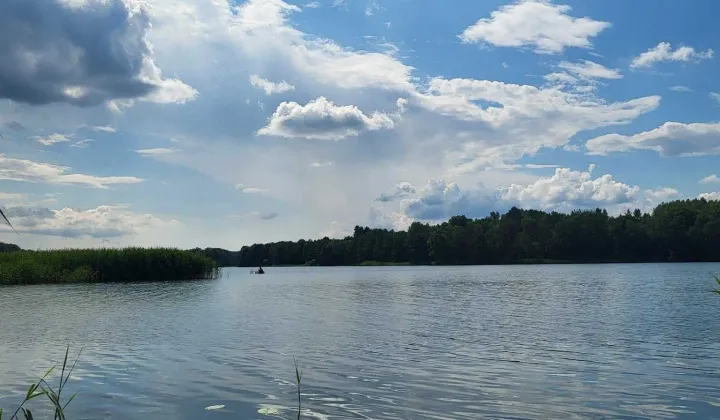 Działka rolna Kierzliny