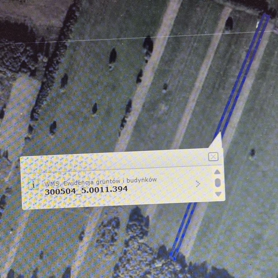 Działka rolna Kuźnica Zbąska. Zdjęcie 2