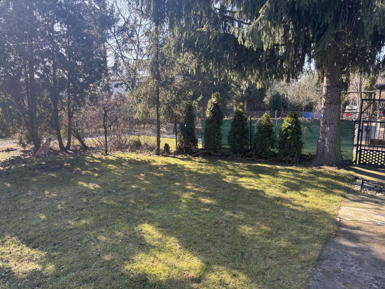 Działka rekreacyjna Sosnowiec Niwka, ul. Juliana Tuwima. Zdjęcie 16