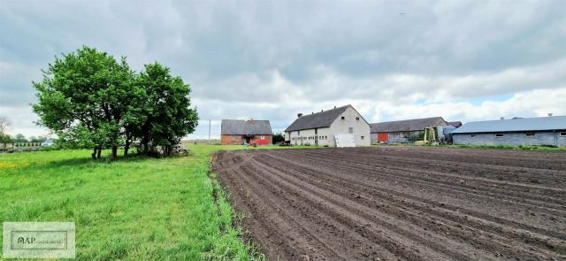 Działka Jabłków. Zdjęcie 9