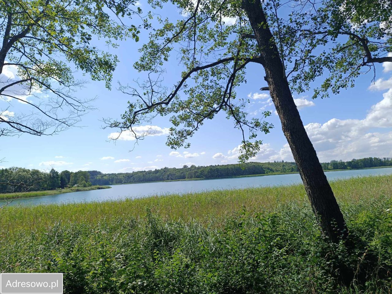 Działka rekreacyjna Muntowo. Zdjęcie 6