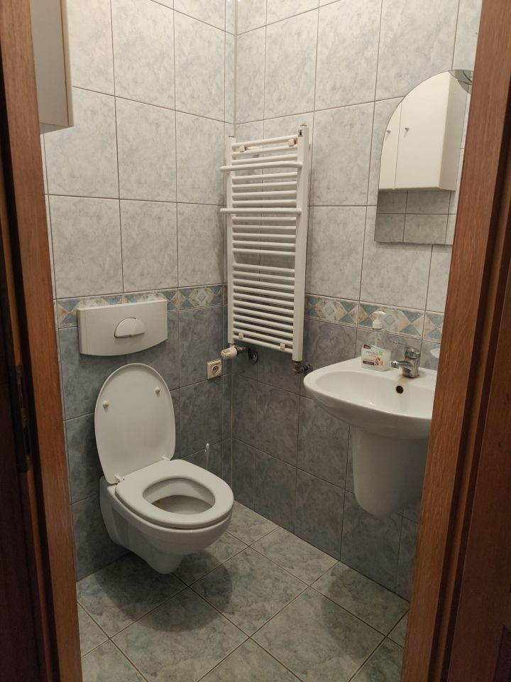 dom wolnostojący, 6 pokoi Brochocin. Zdjęcie 18