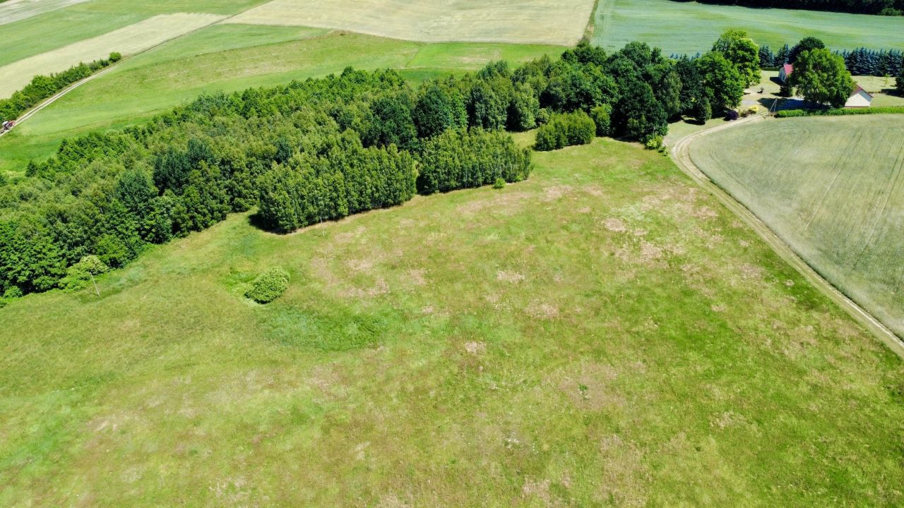 Działka rolno-budowlana Teolog. Zdjęcie 9