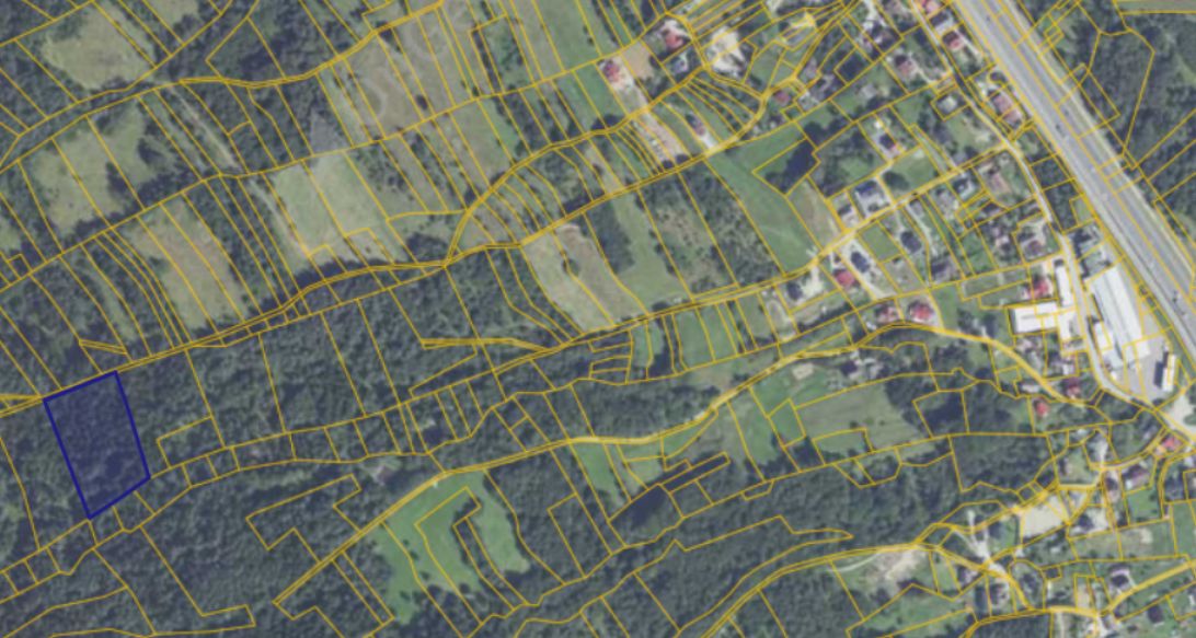 Działka leśna Stróża. Zdjęcie 1