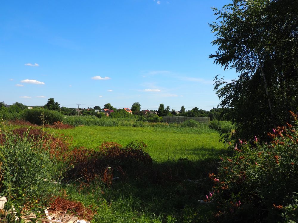 Działka budowlana Sulęcin. Zdjęcie 4