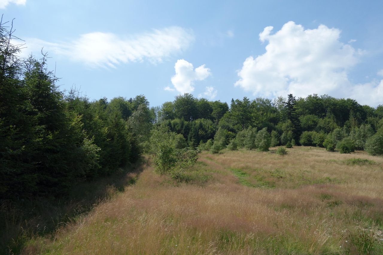 Działka inwestycyjna Brenna Leśnica, ul. Orłowa. Zdjęcie 7