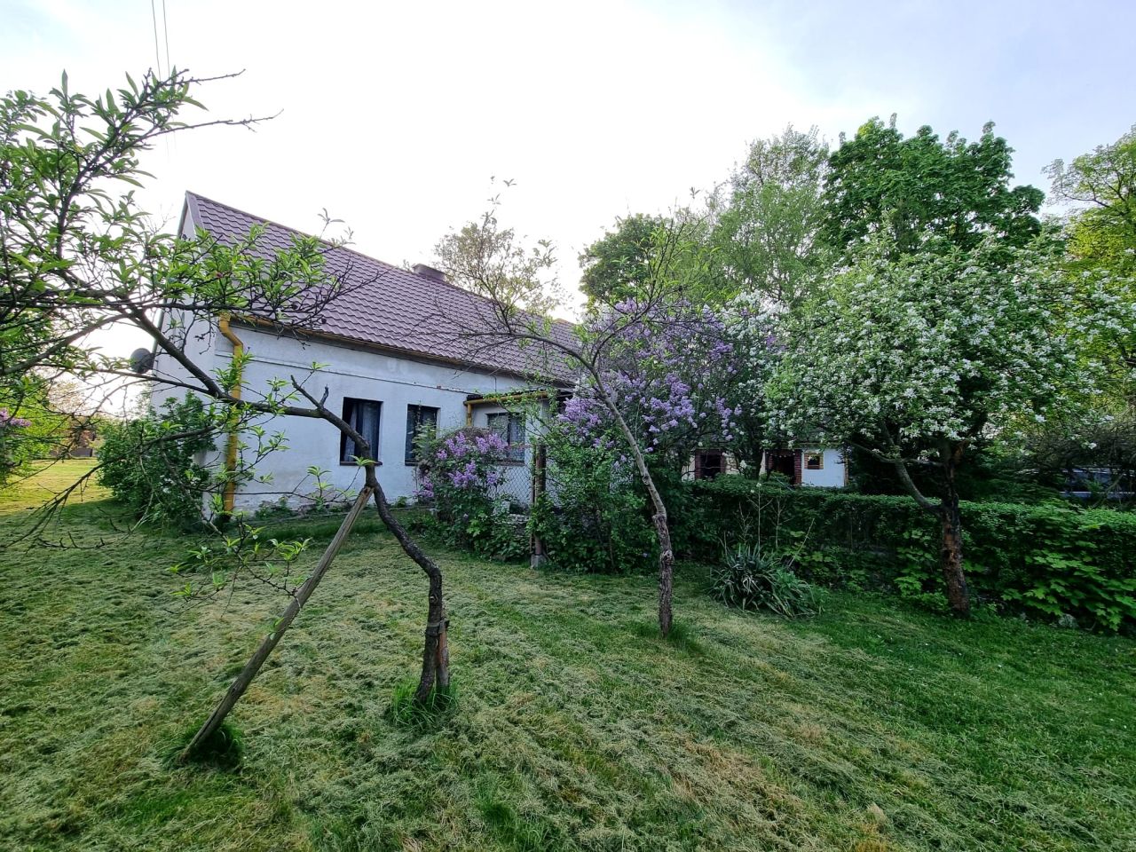 dom wolnostojący, 3 pokoje Suchy Bór, ul. Pawlety. Zdjęcie 5