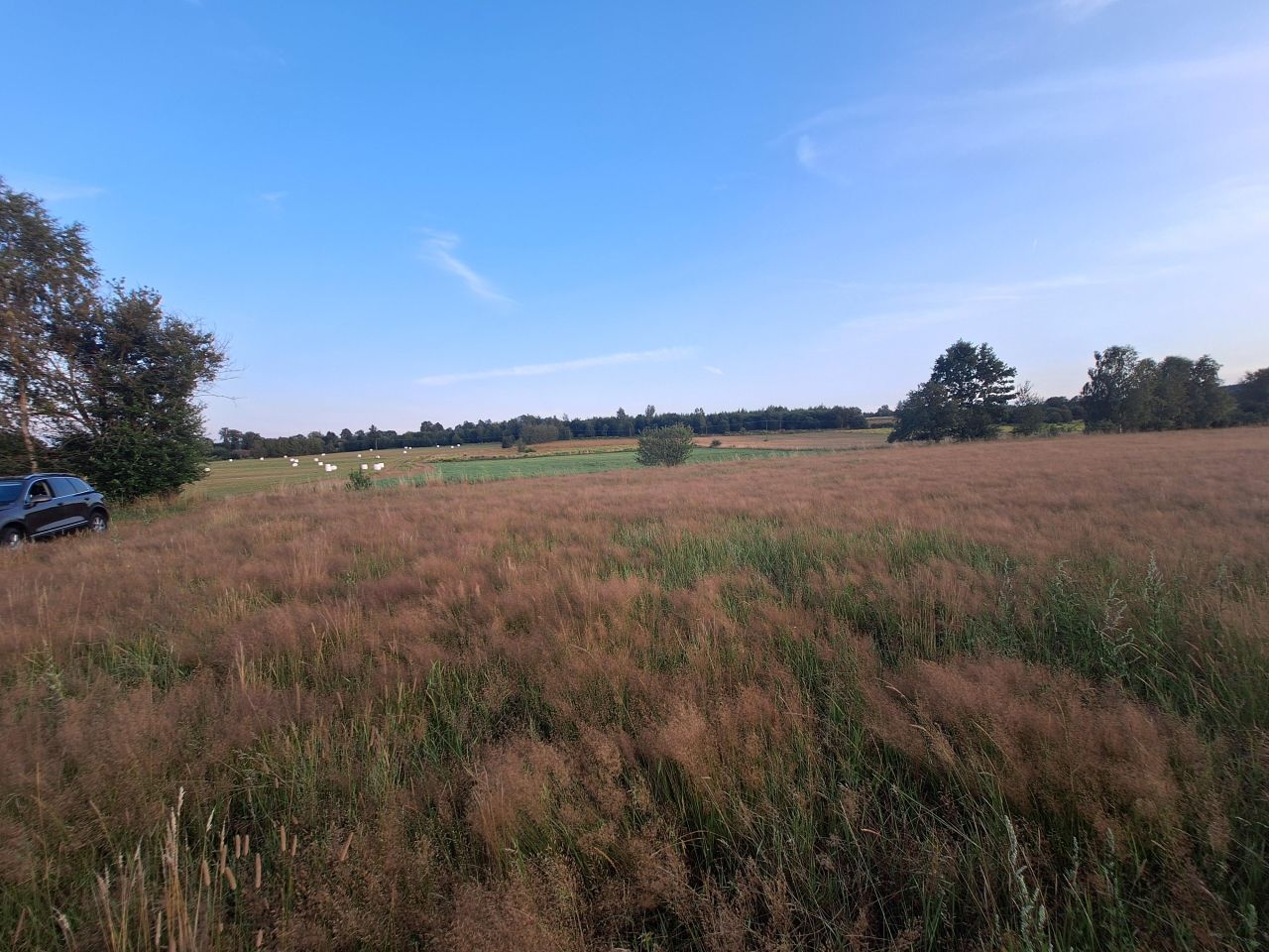 Działka rolna Mała Kamienica. Zdjęcie 8