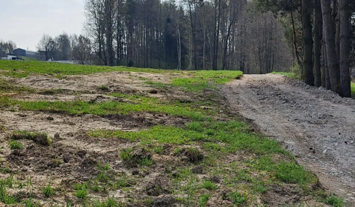 Działka budowlana Wodzisław Śląski Turzyczka, ul. Polna