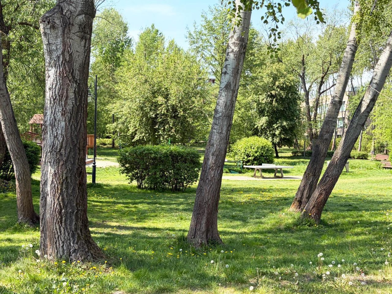 Mieszkanie 3-pokojowe Warszawa Wilanów, ul. Księdza Prymasa Augusta Hlonda. Zdjęcie 13