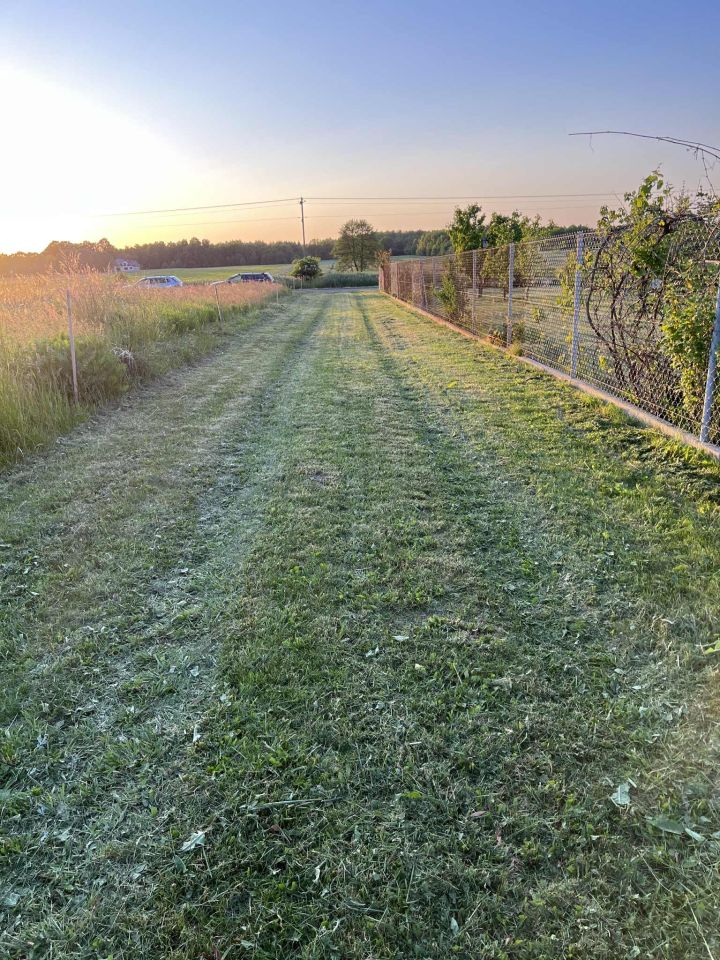 Działka rolno-budowlana Nowa Wola. Zdjęcie 3