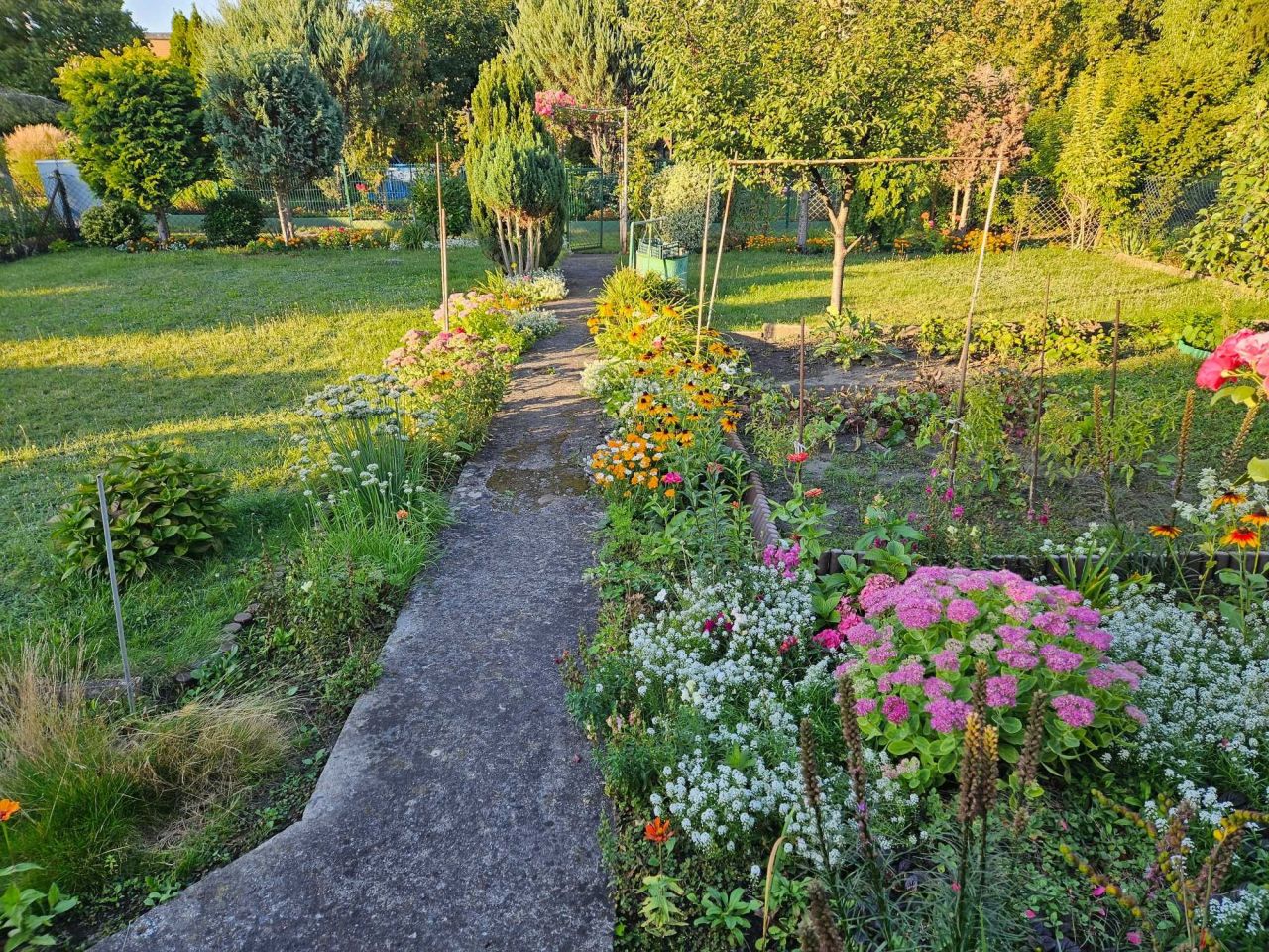 Działka rod Poznań Winogrady, ul. Serbska. Zdjęcie 8