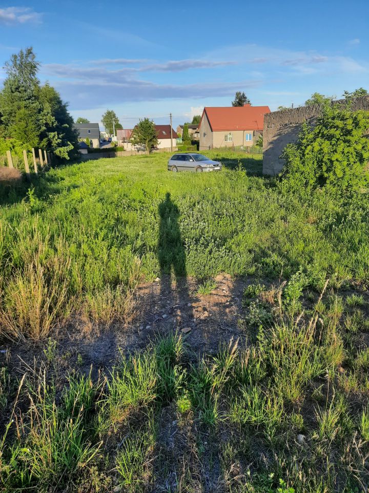 Działka siedliskowa Kisiny. Zdjęcie 4