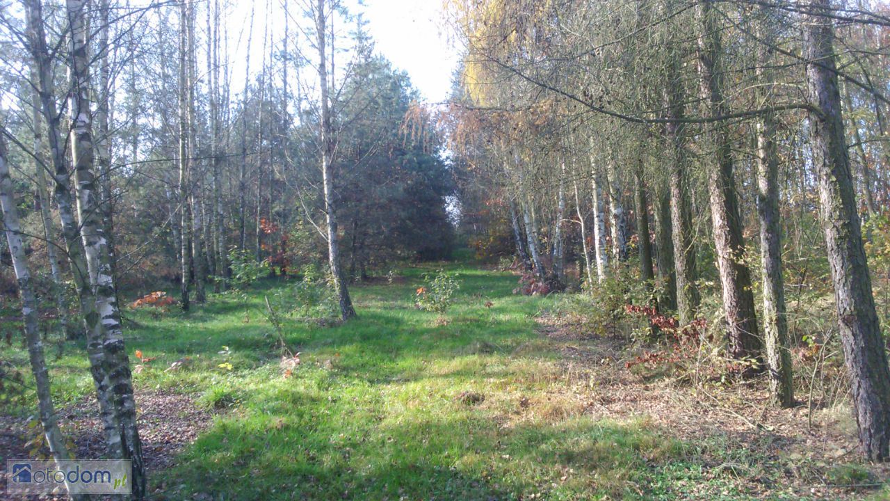Działka budowlana Wola Załężna. Zdjęcie 16