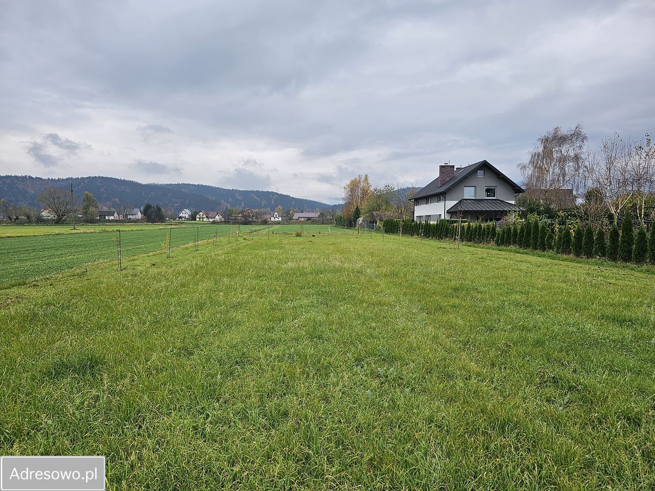 Działka budowlana Gołkowice Dolne