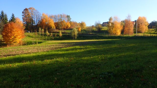 Działka rolna Szczepanowice. Zdjęcie 1
