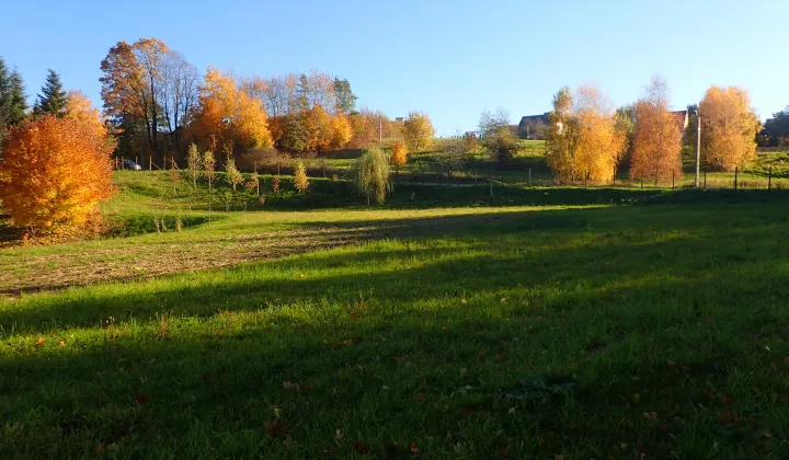 Działka rolna Szczepanowice