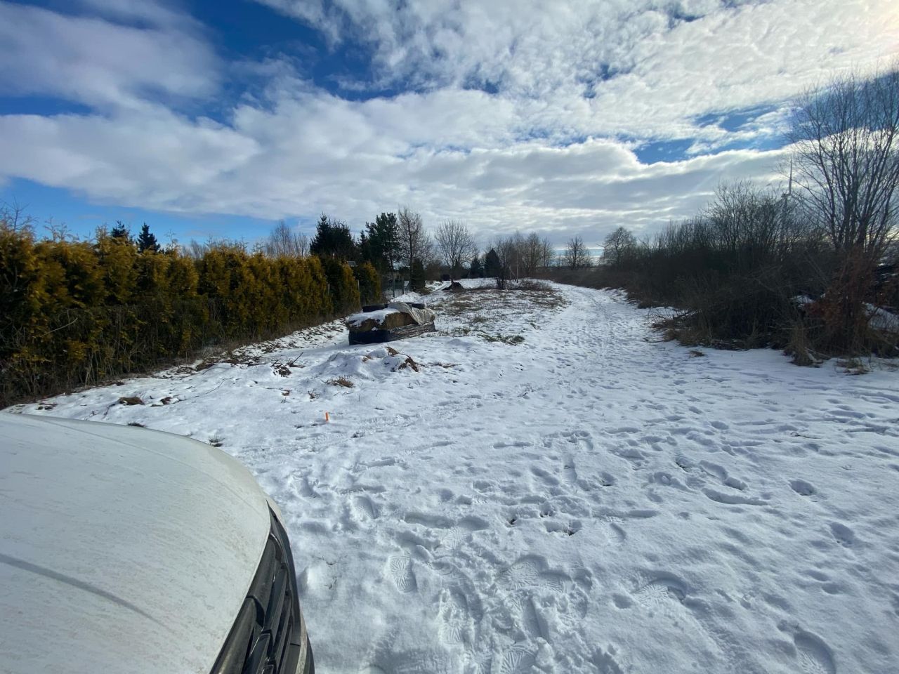 Działka rod Nowotna