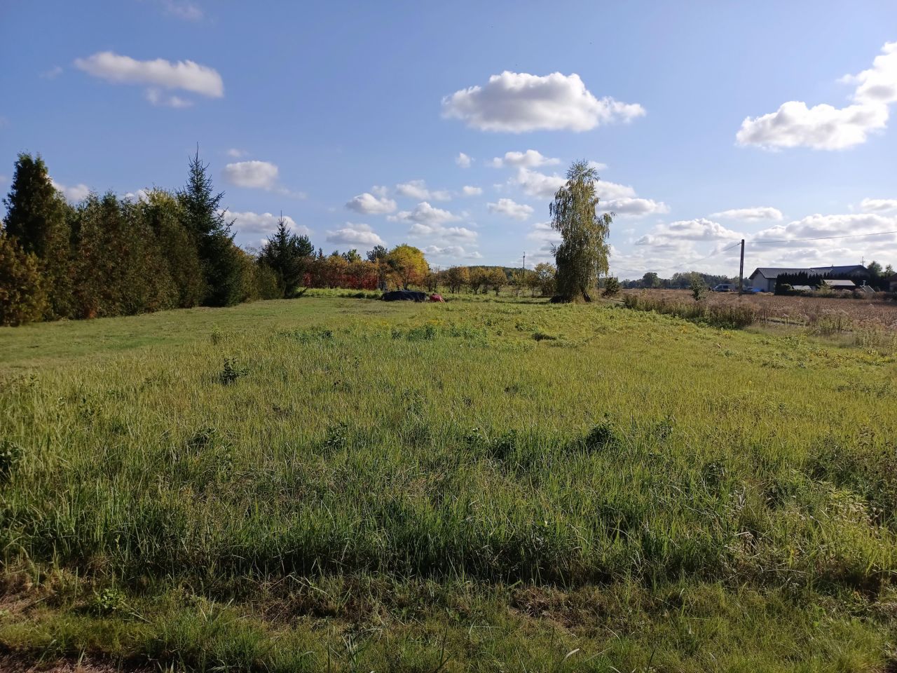 Działka budowlana Bogatki, ul. Królewska