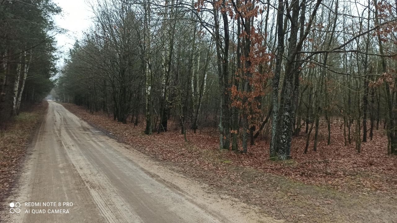 Działka inna Popielżyn Dolny. Zdjęcie 2