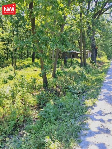 Działka rolno-budowlana Halinów. Zdjęcie 2