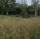 Działka siedliskowa Grodziszcze-Kolonia. Zdjęcie 3