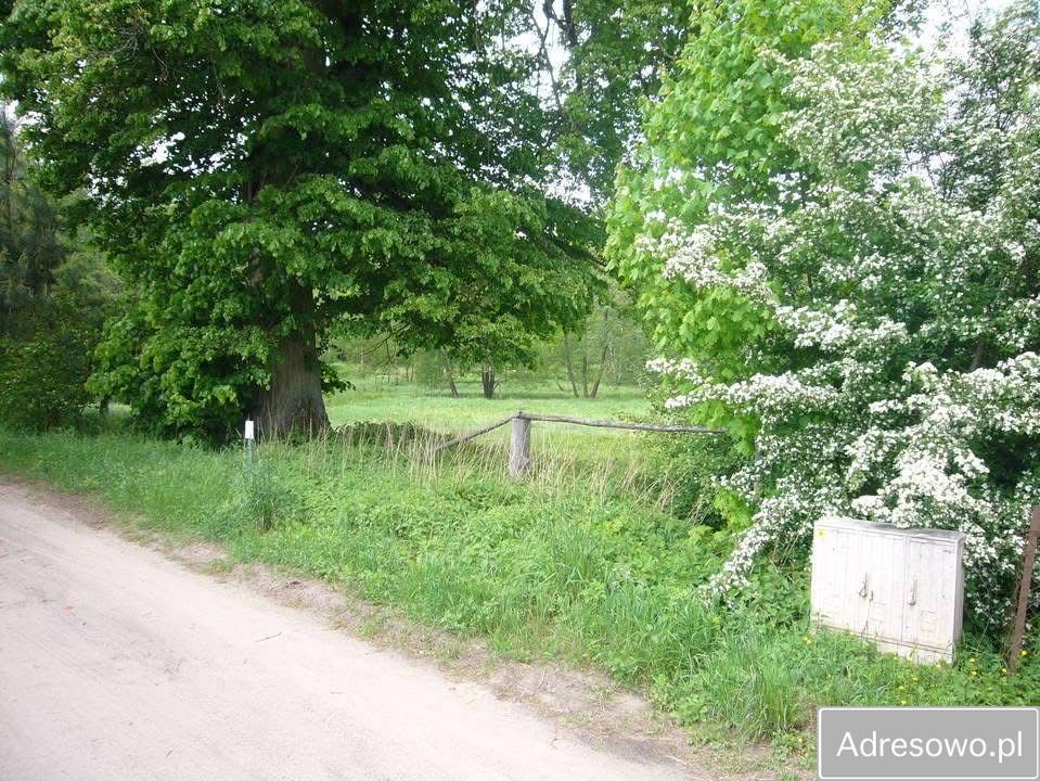 Działka budowlana Przechlewko. Zdjęcie 4
