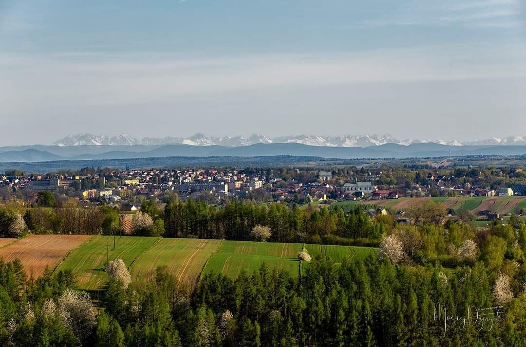 Działka siedliskowa Widnica. Zdjęcie 6
