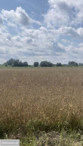 Działka budowlana Obórki. Zdjęcie 1