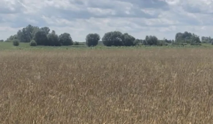 Działka budowlana Obórki