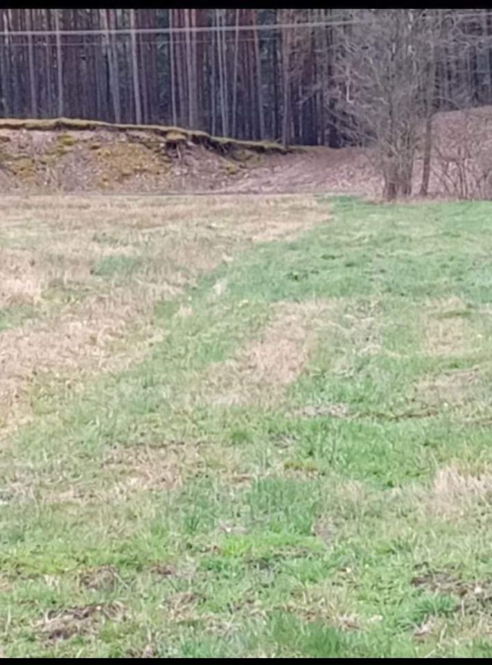 Działka rolno-budowlana Brzuza. Zdjęcie 2