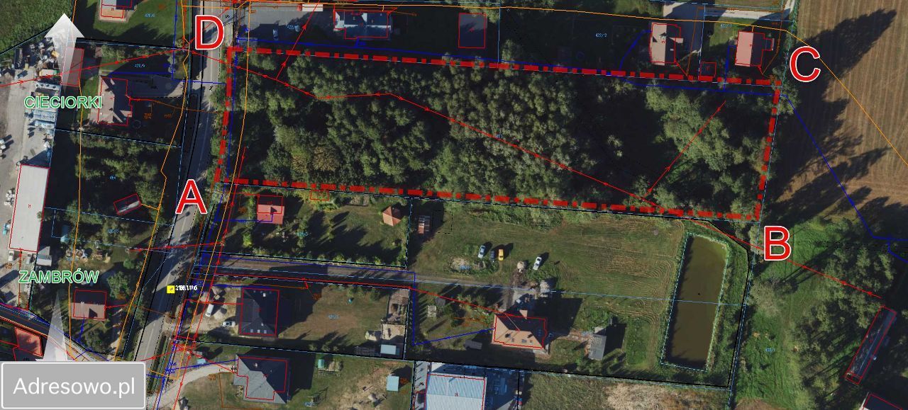 Działka inwestycyjna Cieciorki. Zdjęcie 5