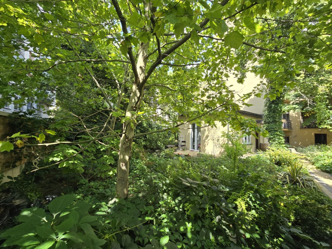 Mieszkanie 1-pokojowe Kraków Krowodrza, ul. Juliusza Lea