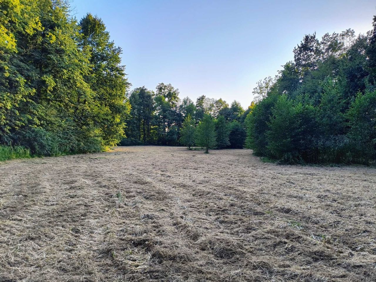 Działka rolna Witkowice. Zdjęcie 8