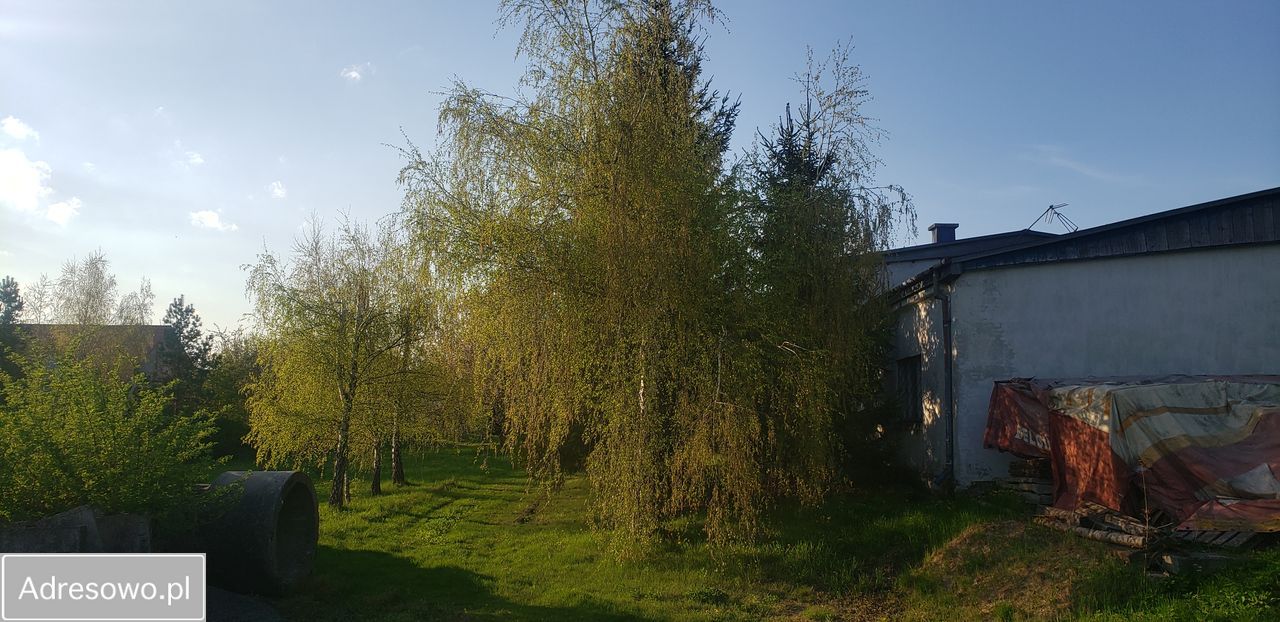 Hala/magazyn Nowy Dwór. Zdjęcie 3