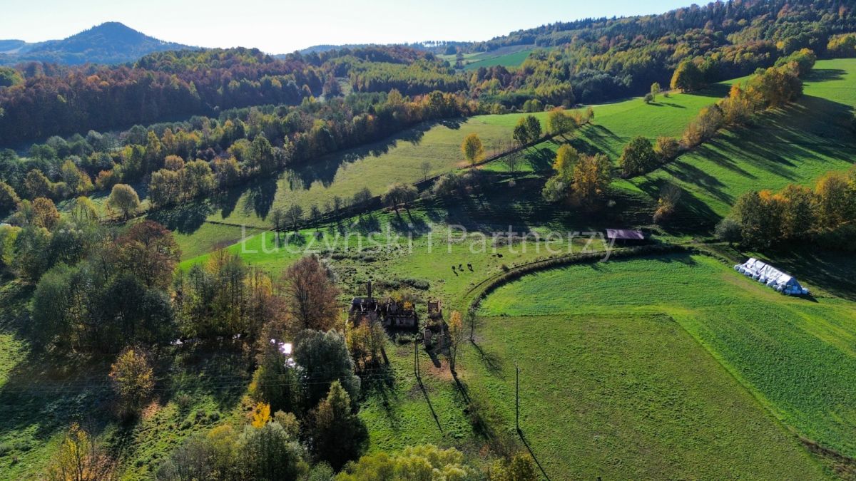 Działka inwestycyjna Czernica. Zdjęcie 7