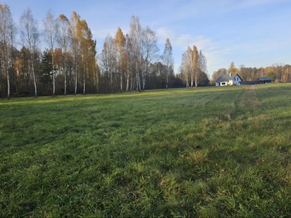 Działka budowlana Oleksin. Zdjęcie 3