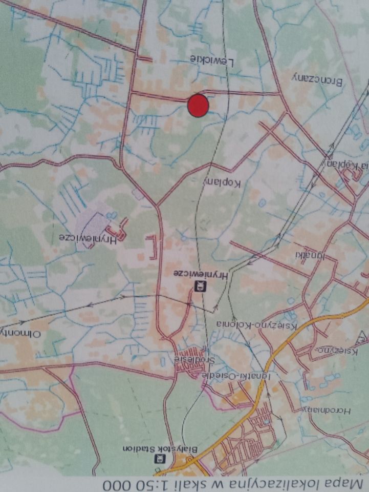 Działka budowlana Lewickie. Zdjęcie 3