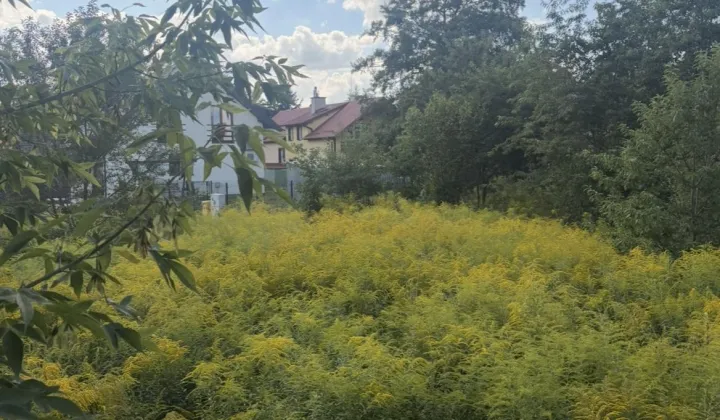 Działka budowlana Brwinów, ul. Pszczelińska