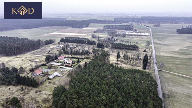 Działka inwestycyjna Dąbrowa Nowa. Zdjęcie 13