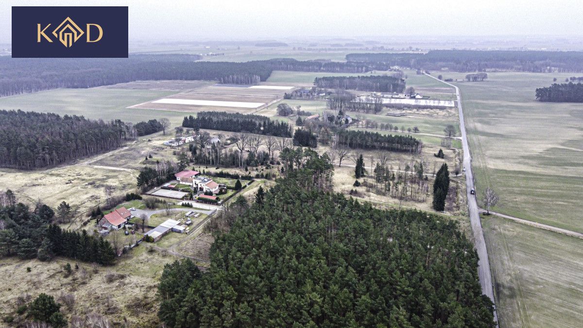 Działka inwestycyjna Dąbrowa Nowa. Zdjęcie 13