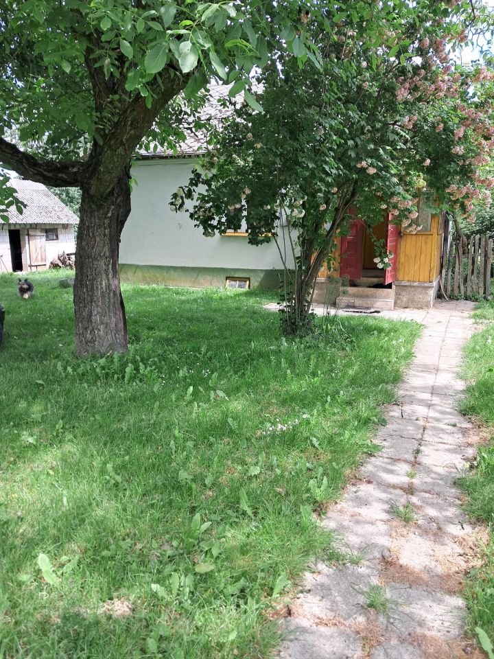 gospodarstwo, 2 pokoje Orchowiec. Zdjęcie 12