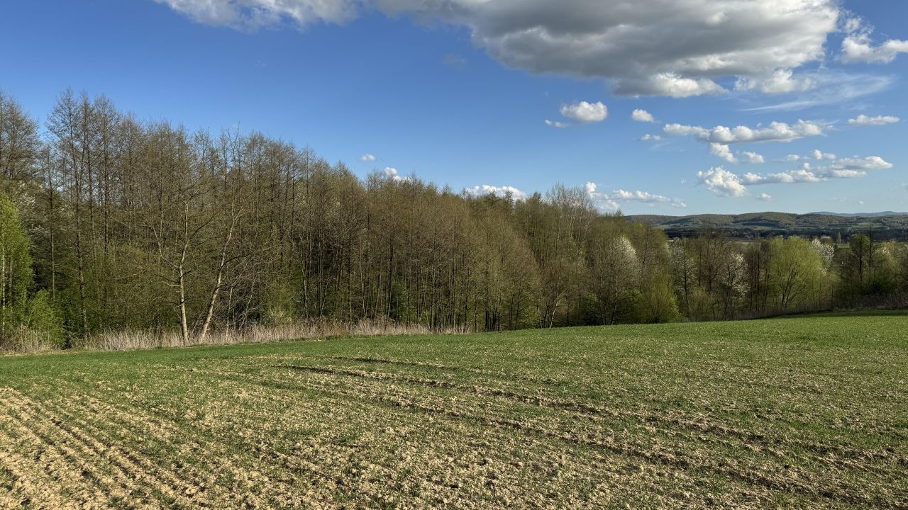 Działka budowlana Jedlicze Męcinka, ul. Partyzantów. Zdjęcie 12